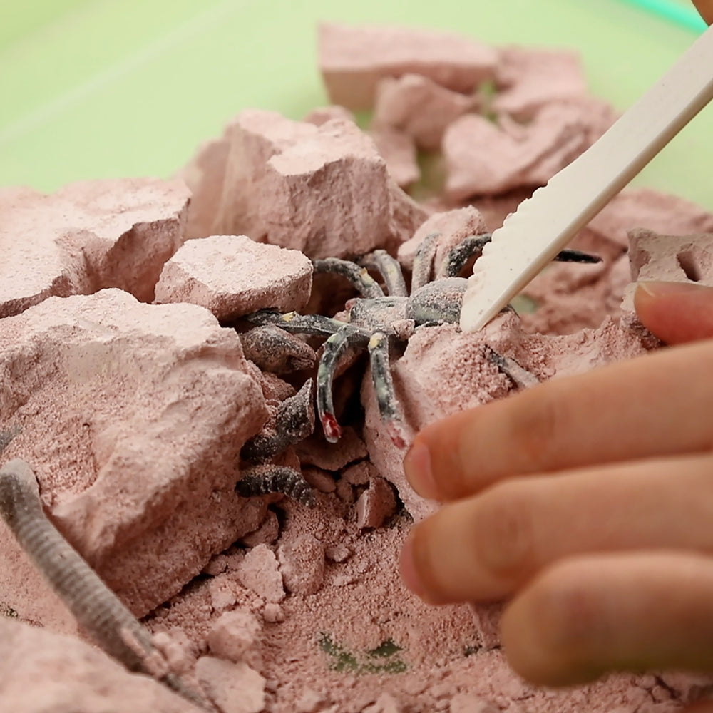 Creepy Crawly Digging Lab Kit Experiments - Science Museum Shop