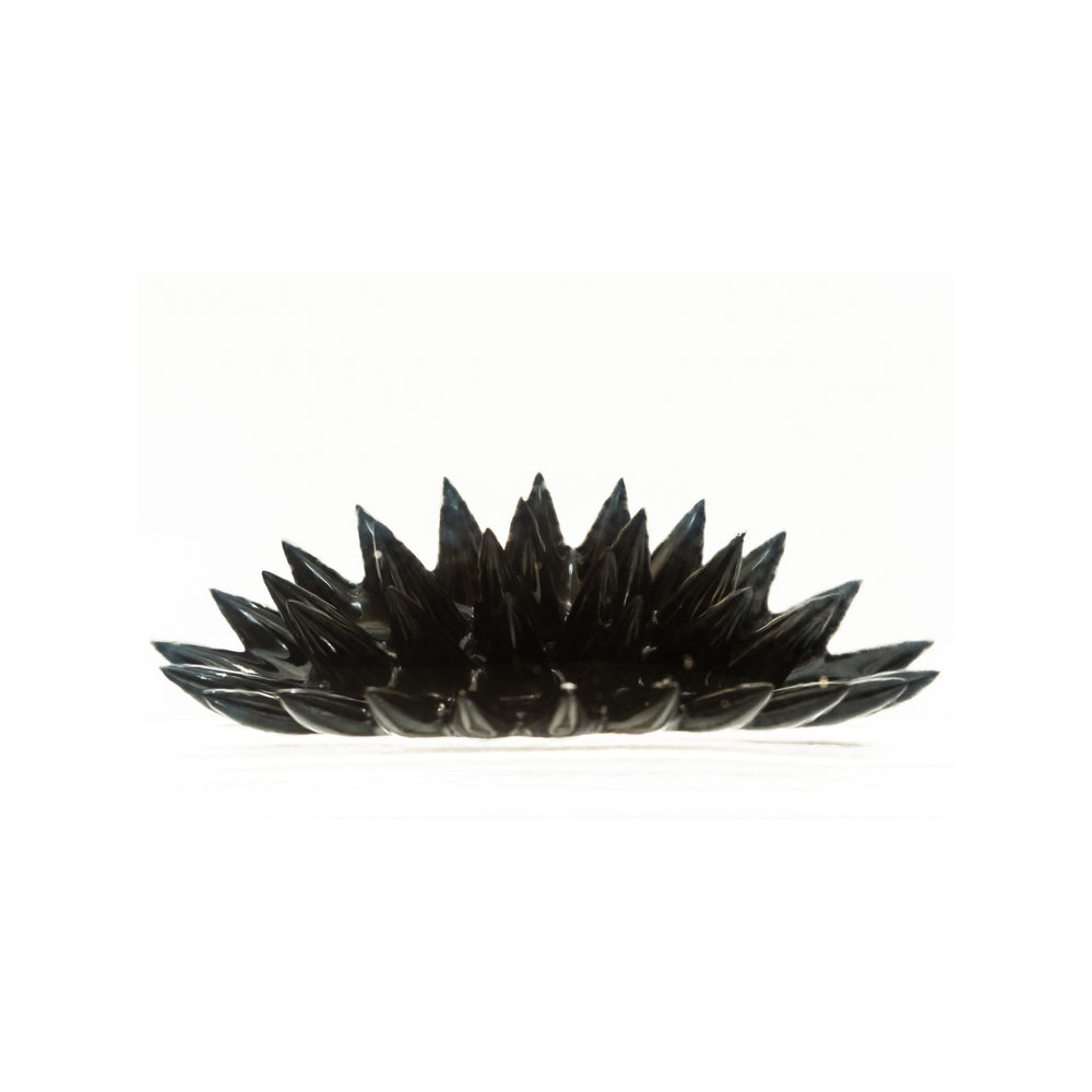 Ferrofluid Venom Experiments - Science Museum Shop