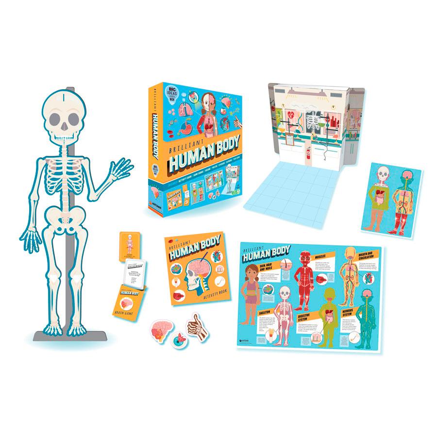 Brilliant Human Body (Learning Activity Kit) - detail 3 - Biology STEM Toy - Science Museum Shop