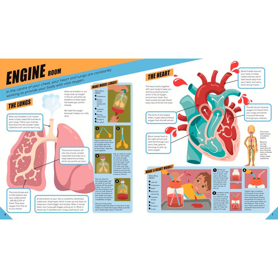 Brilliant Human Body (Learning Activity Kit) - detail - Biology, STEM Toy -Science Museum Shop