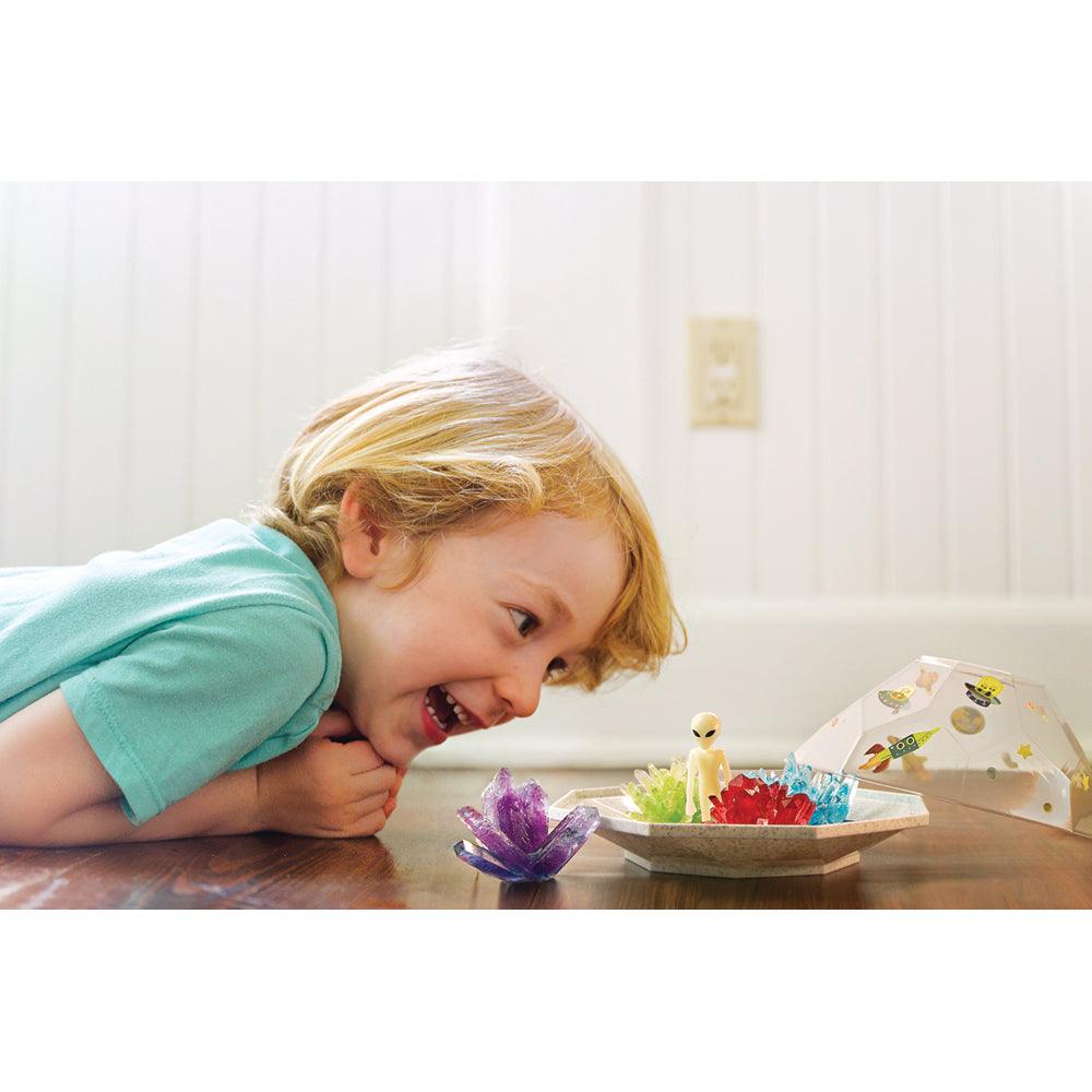 Minerals and Geodes Kit Gemstones - Science Museum Shop