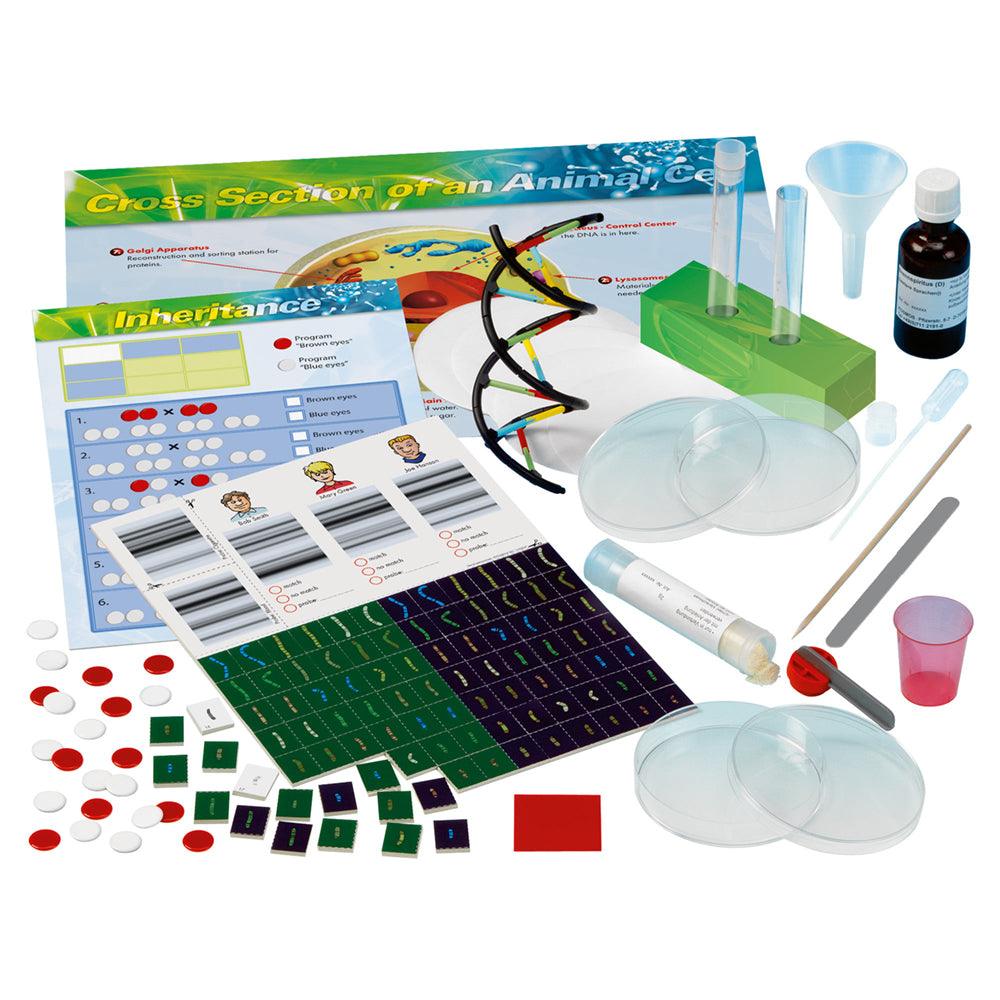 Genetic and DNA Lab Kit - Kits - Science Museum Shop