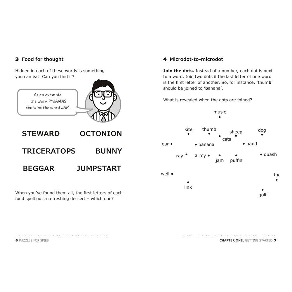 Puzzles for Spies Science - Science Museum Shop