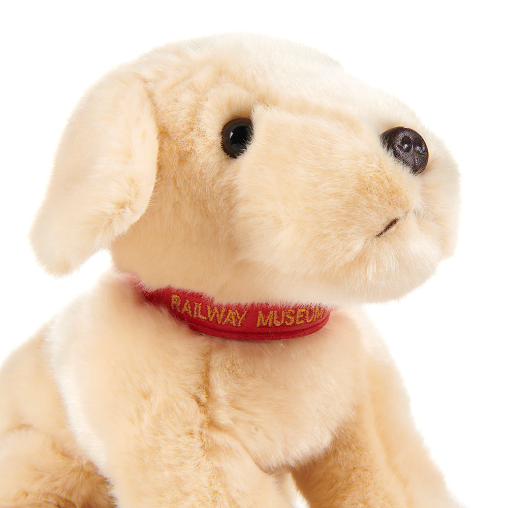 National Railway Museum Cuddly Plush Station Labrador - face lower angle - Train, Locomotive Toy & Gift - Science Museum Shop