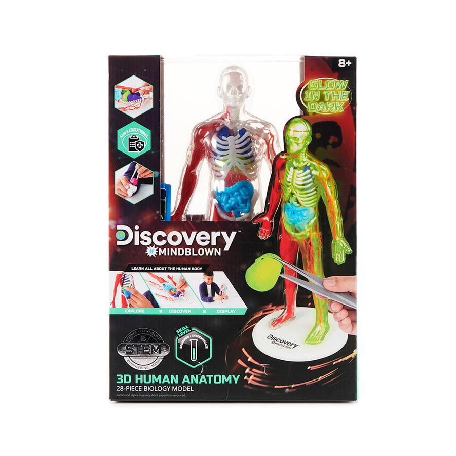 Discovery Anatomy Human Kit