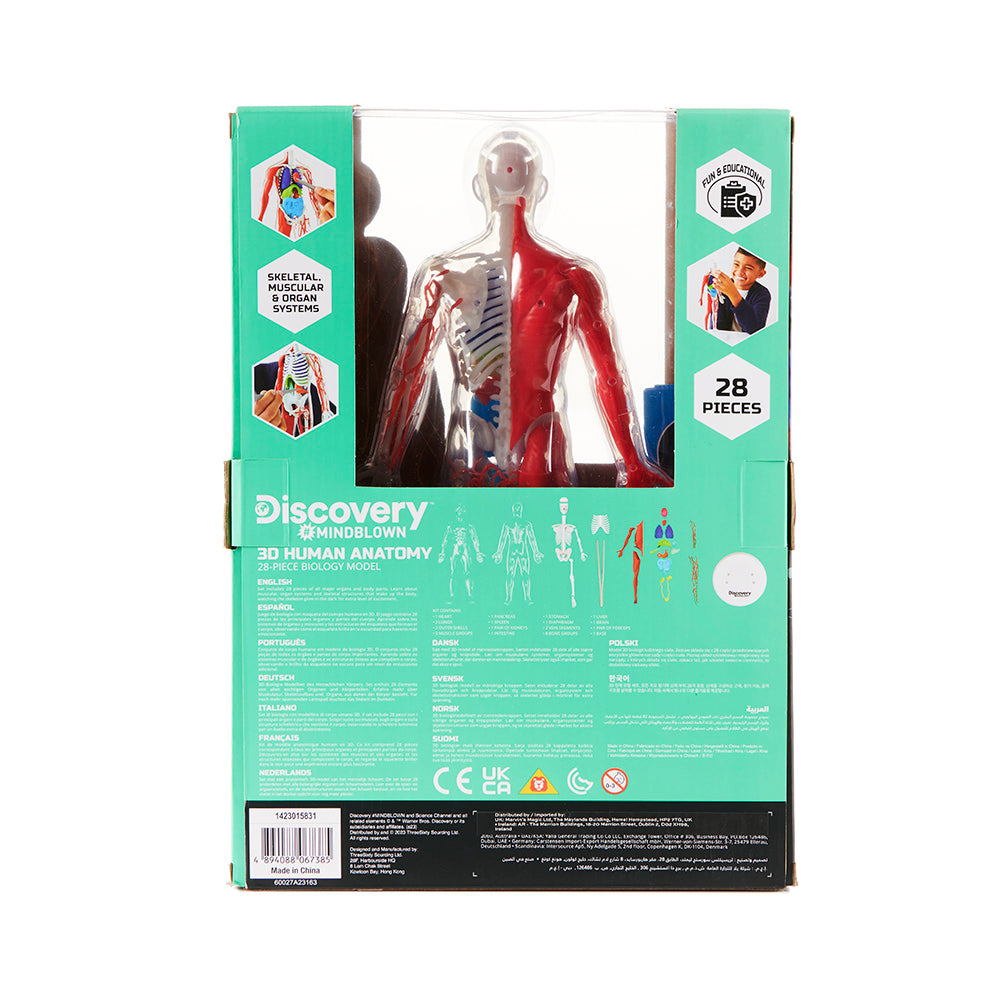 Discovery Anatomy Human Kit