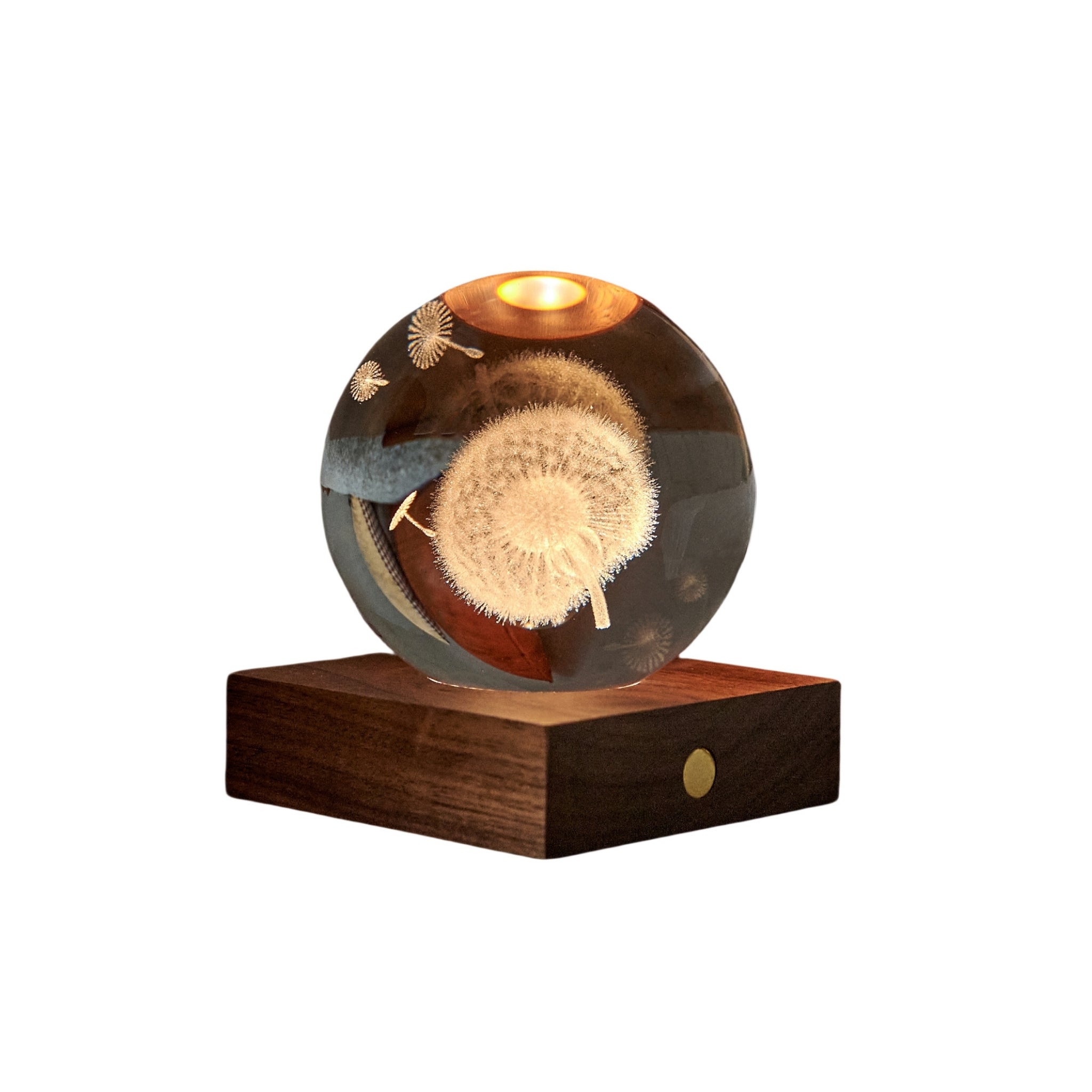 Gingko Design Amber Light 3D Laser - Dandelion Home Tech - Science Museum Shop