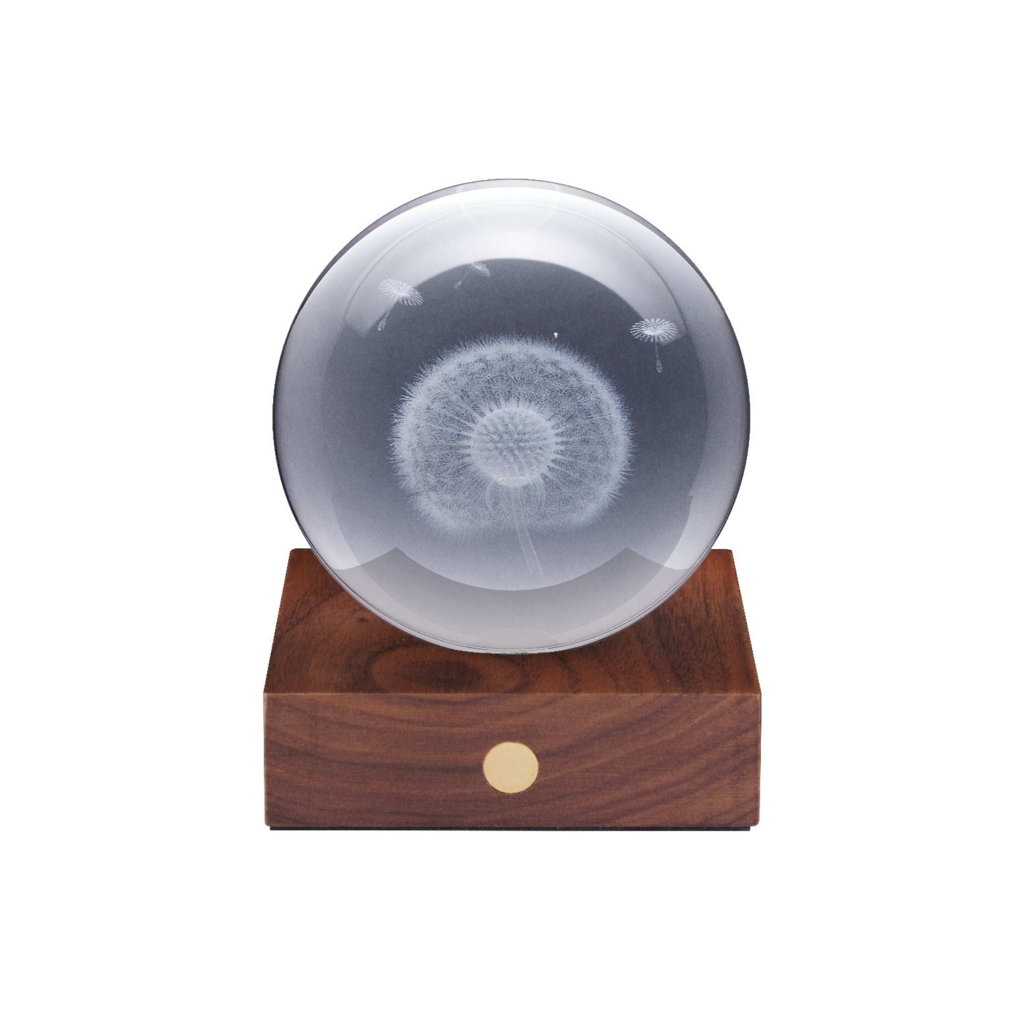 Gingko Design Amber Light 3D Laser - Dandelion Home Tech - Science Museum Shop