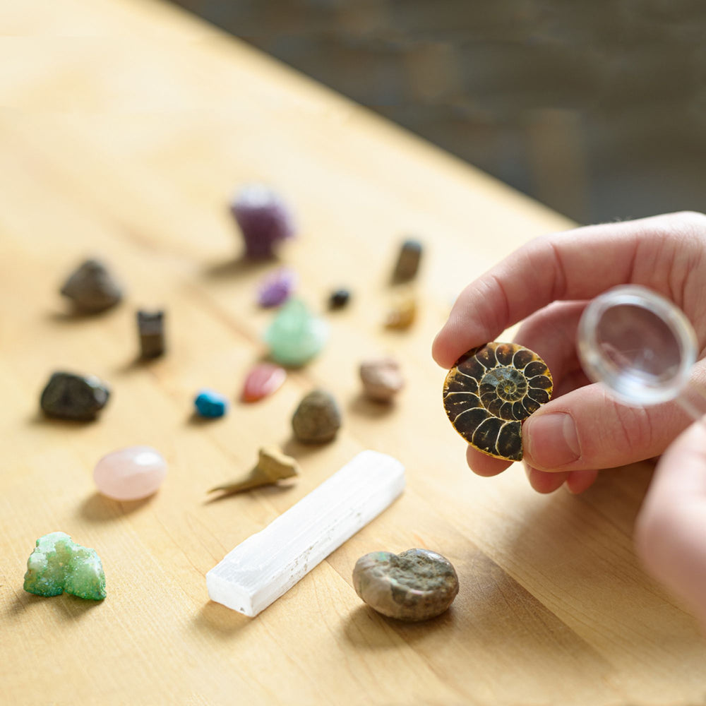 Science Museum Fossil & Mineral Discovery Kit Gemstones - Science Museum Shop