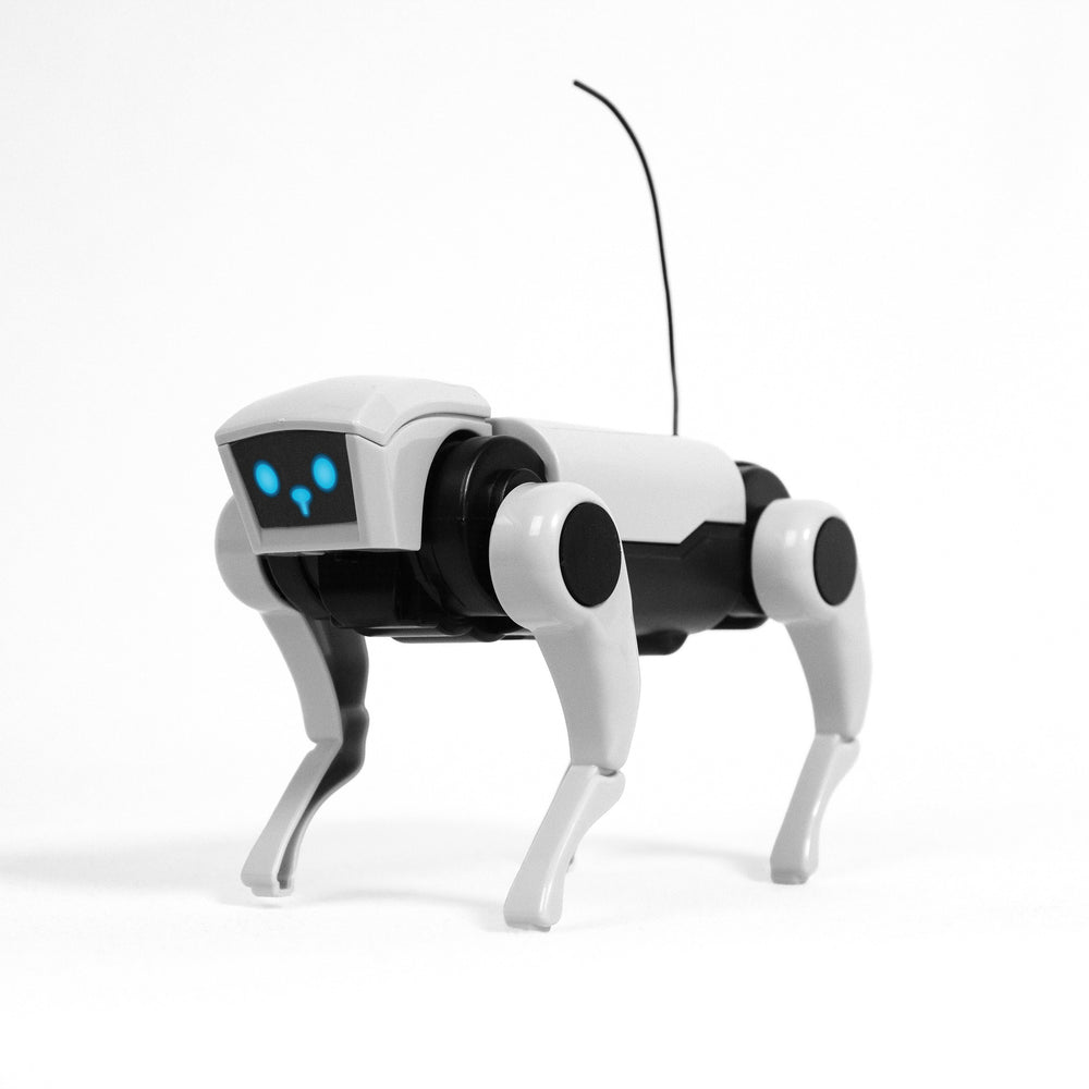 Remote Control Dog