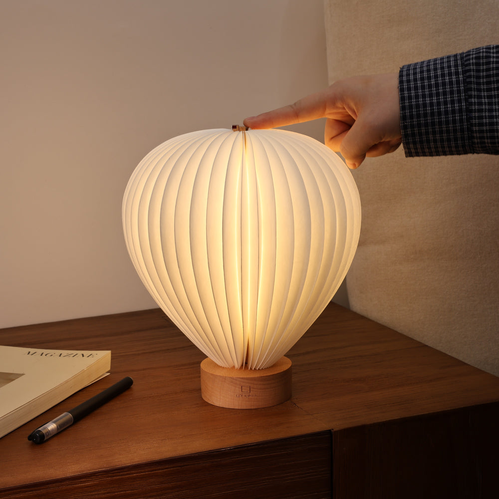 Gingko Design Aeris Light Beech Home Tech - Science Museum Shop