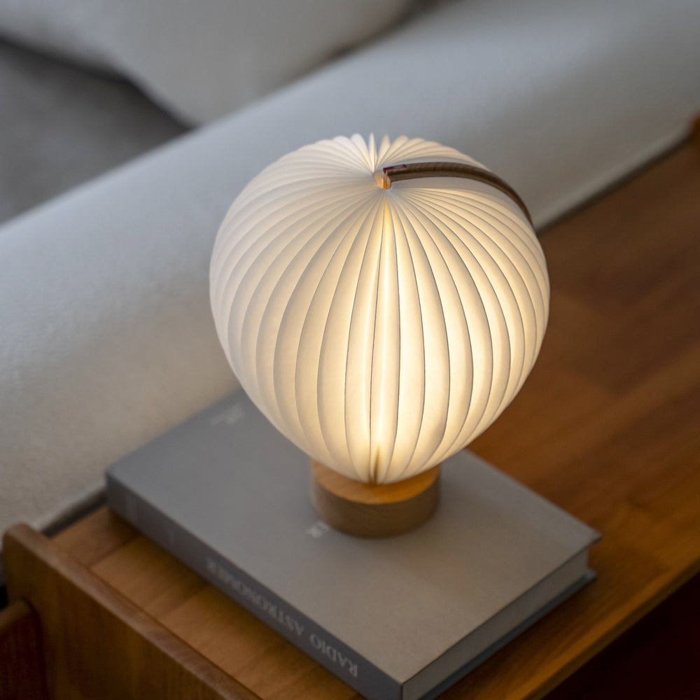 Gingko Design Aeris Light Beech Home Tech - Science Museum Shop