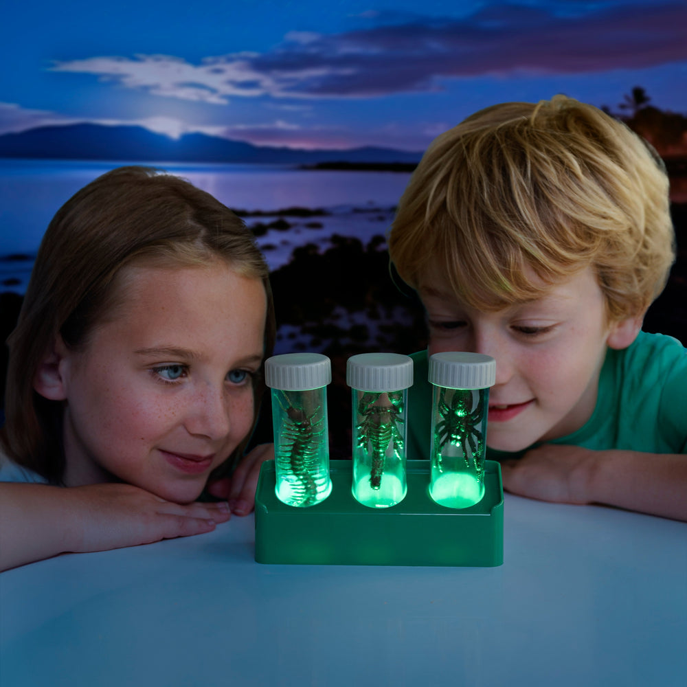 Creepy Crawly Digging Lab Kit Experiments - Science Museum Shop