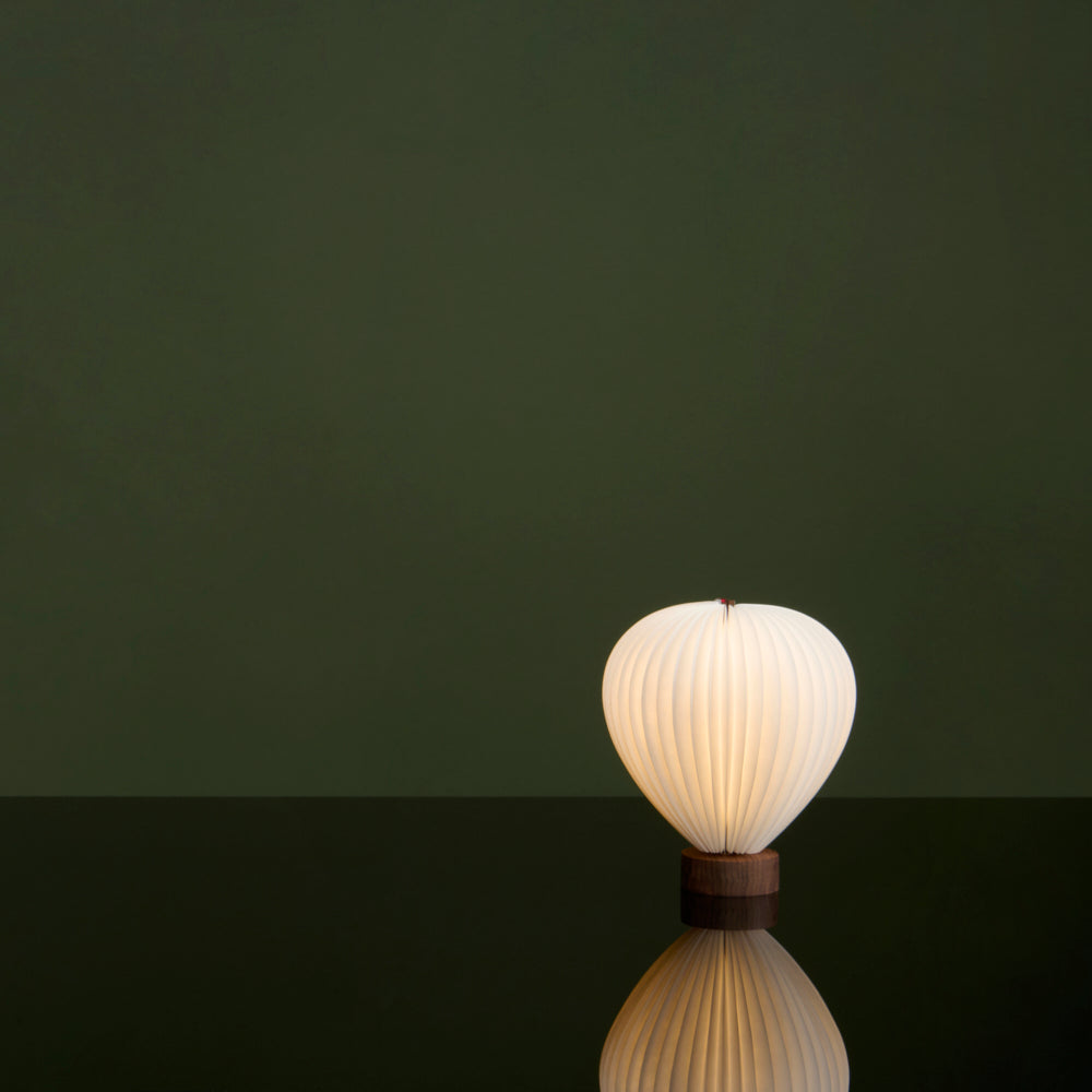 Gingko Design Aeris Light Beech Home Tech - Science Museum Shop