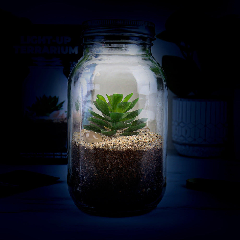 Terrarium Light Up Solar Powered Home Accessories - Science Museum Shop