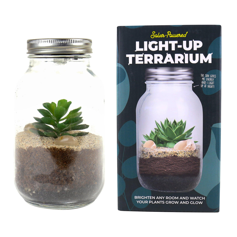 Terrarium Light Up Solar Powered Home Accessories - Science Museum Shop
