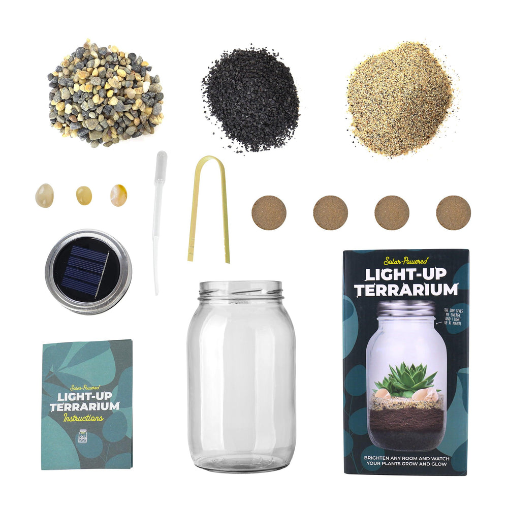 Terrarium Light Up Solar Powered Home Accessories - Science Museum Shop