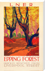 'Epping Forest', LNER poster, 1923-1947. stretched canvas extra large none Art Print - Science Museum Shop