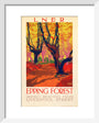 'Epping Forest', LNER poster, 1923-1947. art print extra small white Art Print - Science Museum Shop