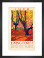 'Epping Forest', LNER poster, 1923-1947. art print small black Art Print - Science Museum Shop