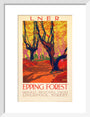 'Epping Forest', LNER poster, 1923-1947. art print small white Art Print - Science Museum Shop