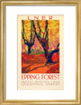 'Epping Forest', LNER poster, 1923-1947. art print small gold Art Print - Science Museum Shop