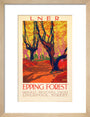 'Epping Forest', LNER poster, 1923-1947. art print small natural Art Print - Science Museum Shop