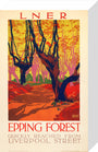 'Epping Forest', LNER poster, 1923-1947. stretched canvas small none Art Print - Science Museum Shop