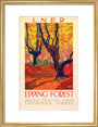 'Epping Forest', LNER poster, 1923-1947. art print medium gold Art Print - Science Museum Shop
