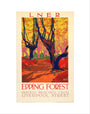 'Epping Forest', LNER poster, 1923-1947. art print extra small none Art Print - Science Museum Shop