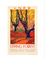 'Epping Forest', LNER poster, 1923-1947. art print medium none Art Print - Science Museum Shop