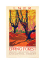 'Epping Forest', LNER poster, 1923-1947. unstretched canvas medium none Art Print - Science Museum Shop