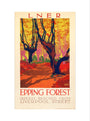 'Epping Forest', LNER poster, 1923-1947. art print extra large none Art Print - Science Museum Shop