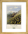 'York in Daffodil Time', BR poster, 1950. art print extra small gold Art Print - Science Museum Shop