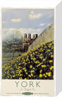 'York in Daffodil Time', BR poster, 1950. stretched canvas small none Art Print - Science Museum Shop