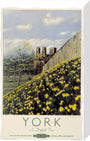 'York in Daffodil Time', BR poster, 1950. stretched canvas medium none Art Print - Science Museum Shop