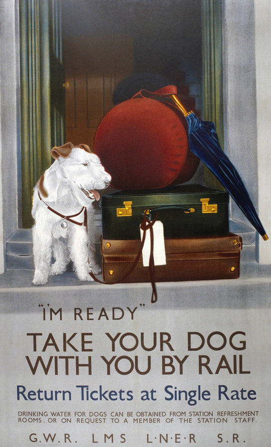 'Take your Dog with you by Rail', GWR/LMS/LNER/SR poster, 1923-1947. Art Print - Science Museum Shop