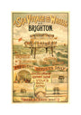 Volk's Brighton & Rottingdean Seashore Electric Railway, poster. unstretched canvas medium none Art Print - Science Museum Shop