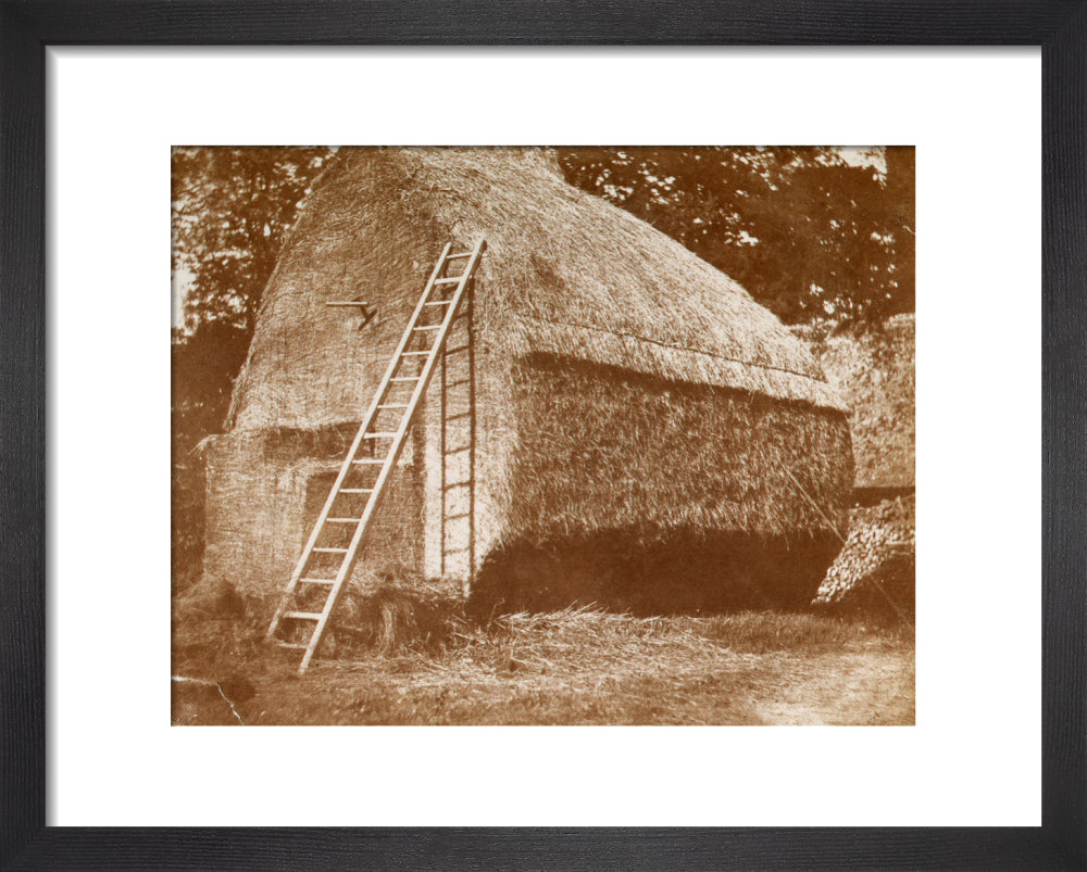 Haystack, c 1842. | Science Museum Shop