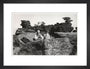 Brimham Rocks, North Yorkshire, 1968. art print small black Art Print - Science Museum Shop