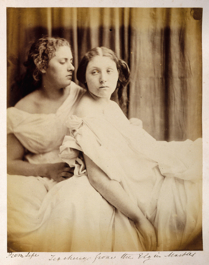 'Teachings from the Elgin Marbles', 1867. Art Print - Science Museum Shop