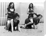 Horseplay on the beach, c 1920s. stretched canvas medium none Art Print - Science Museum Shop
