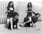 Horseplay on the beach, c 1920s. stretched canvas extra large none Art Print - Science Museum Shop