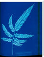 Cyanotype of the Adiantum serrulatum fern, 1853. stretched canvas large none Art Print - Science Museum Shop