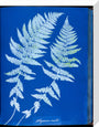 Cyanotypes British and Foreign ferns stretched canvas medium none Art Print - Science Museum Shop