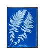 Cyanotypes British and Foreign ferns unstretched canvas small none Art Print - Science Museum Shop