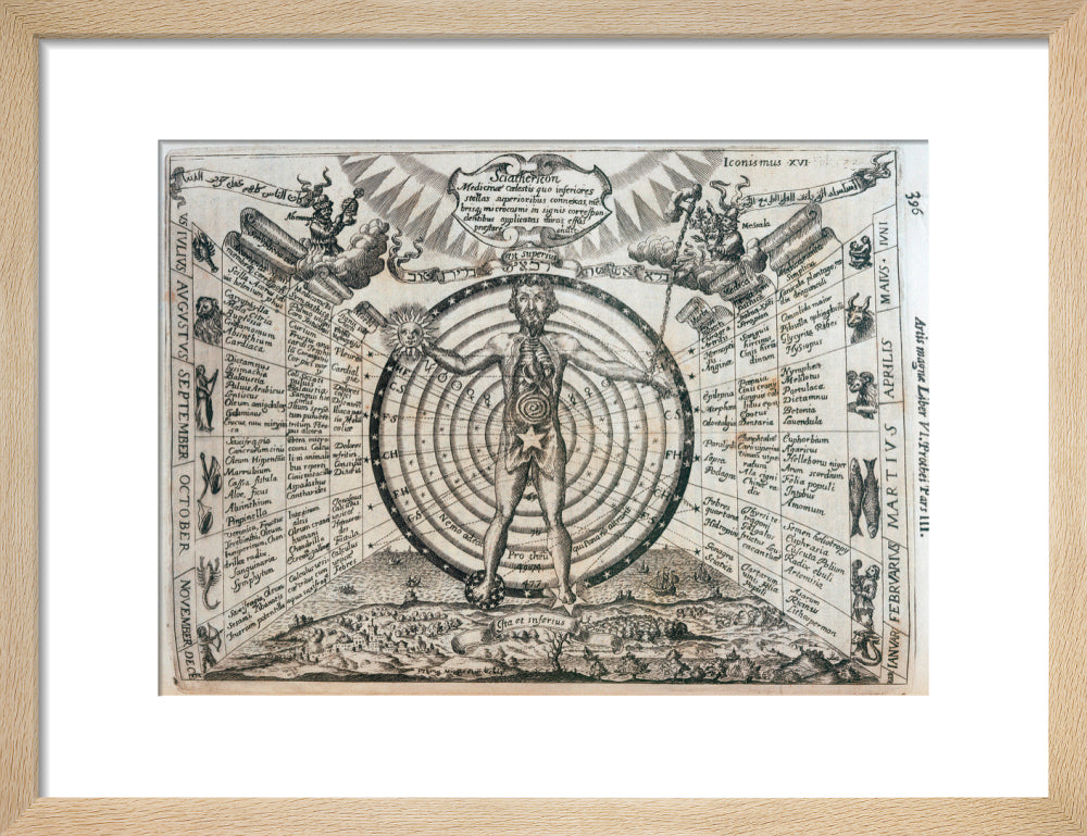 Astrological chart, 1646. art print small natural Art Print - Science Museum Shop