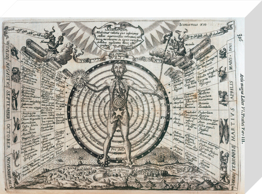 Astrological chart, 1646. stretched canvas small none Art Print - Science Museum Shop