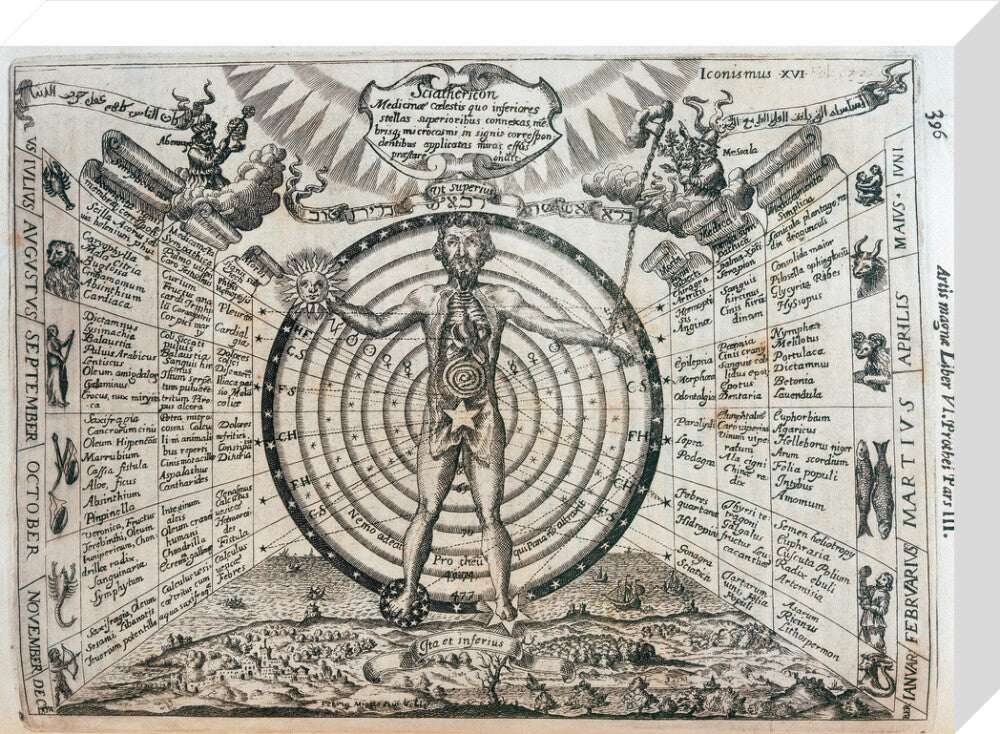 Astrological chart, 1646. stretched canvas medium none Art Print - Science Museum Shop