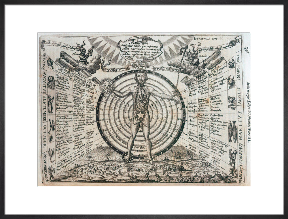 Astrological chart, 1646. art print extra large black Art Print - Science Museum Shop